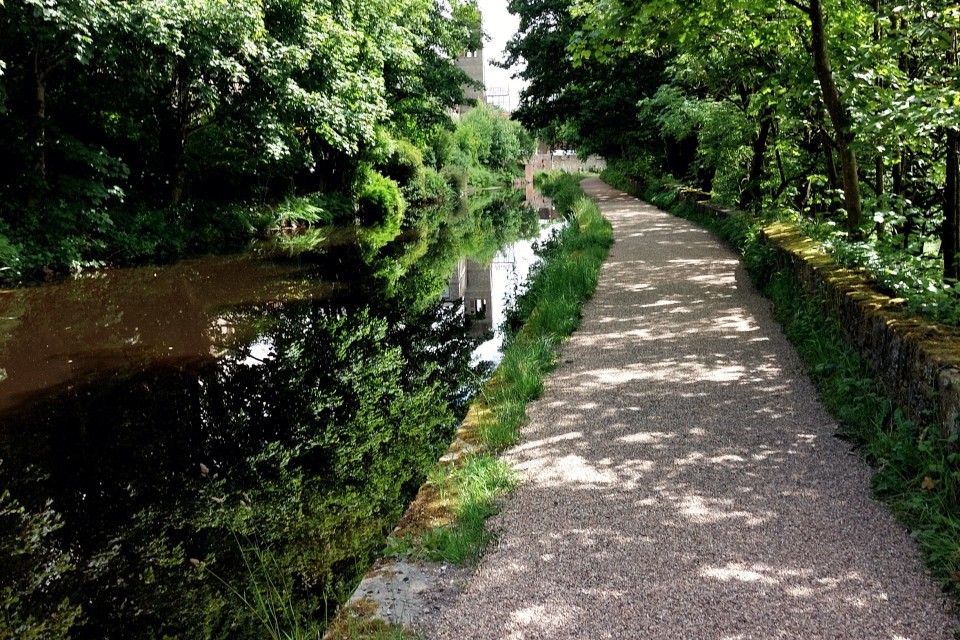 Thumbnail image for River Colne Towpath